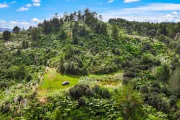 Lot 3 Radiata Road, Warkworth