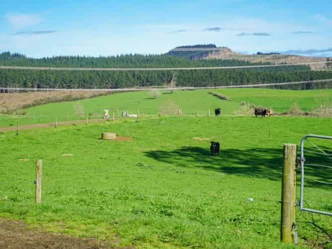 603 and 60 Kopuku Road, Maramarua
