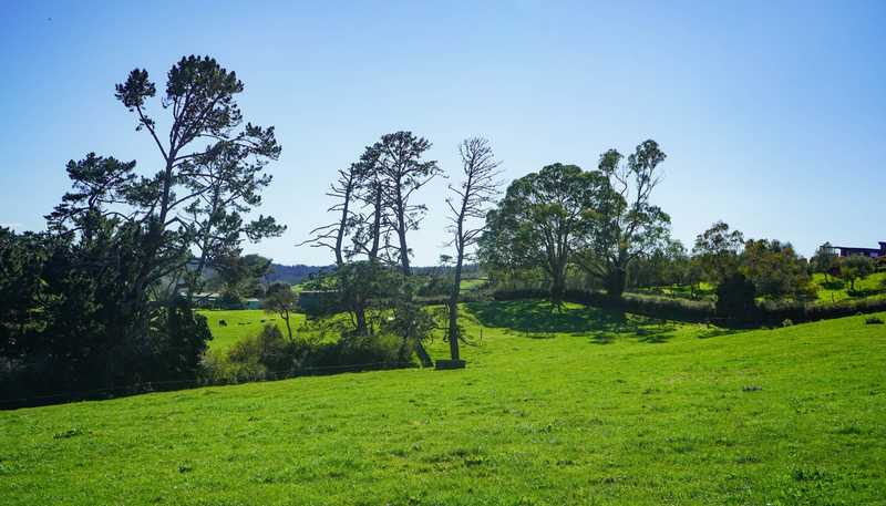 603 and 60 Kopuku Road, Maramarua