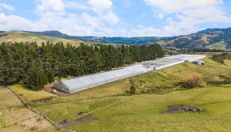 80 Orere-matingarahi Road, Orere Point