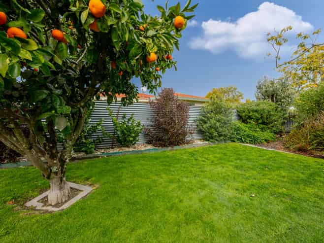 8 McKeefry Avenue, Greenmeadows
