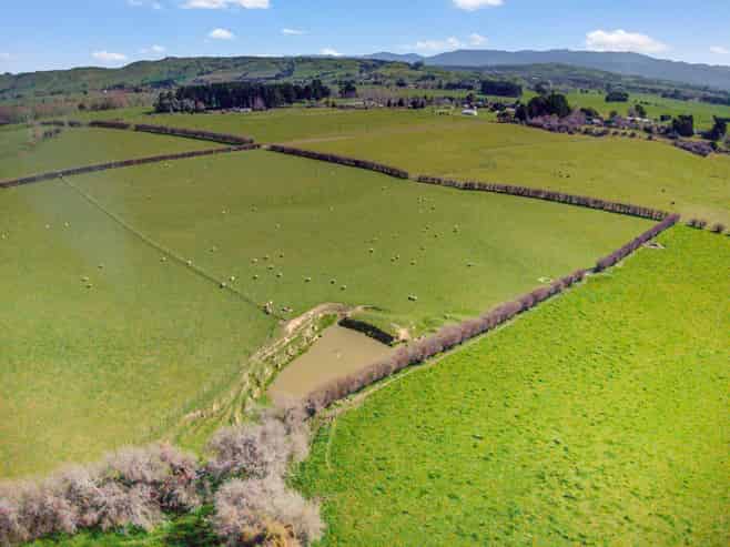 1437 Lots 1 and 3 Brooklands Road, Carterton