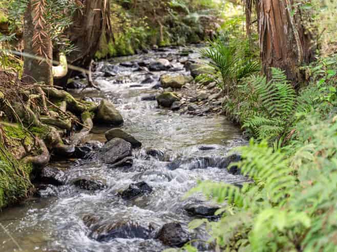 725A Otaika Valley Road, MAUNGATAPERE
