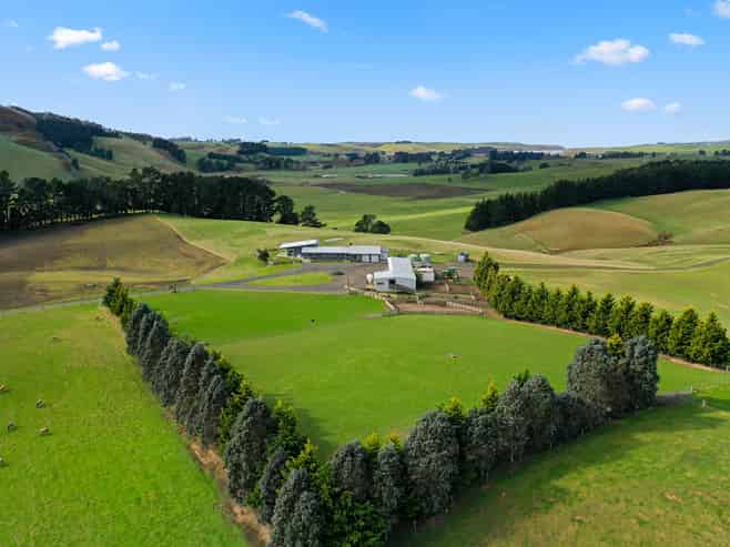 79 Patterson Road, Palmerston