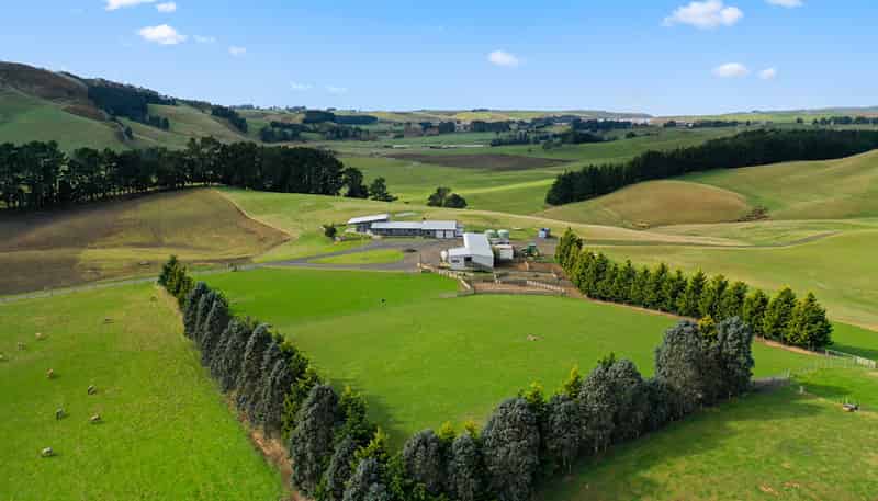 79 Patterson Road, Palmerston