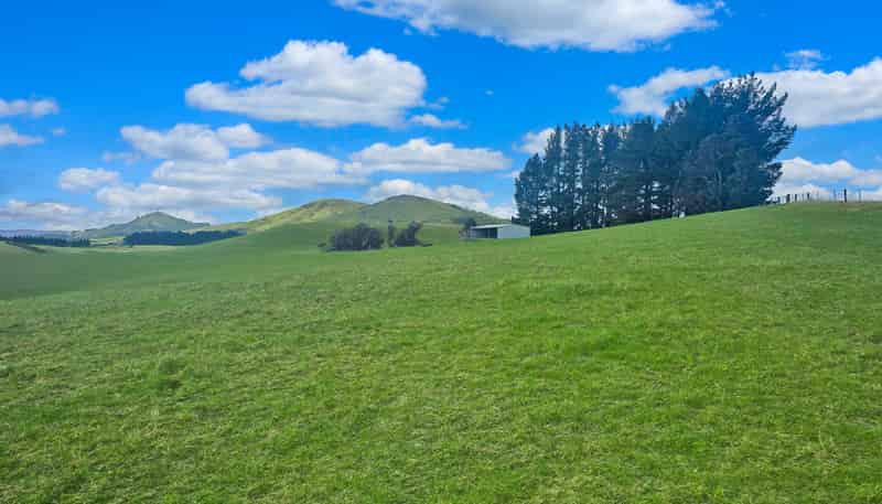 79 Patterson Road, Palmerston