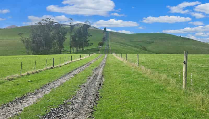 79 Patterson Road, Palmerston