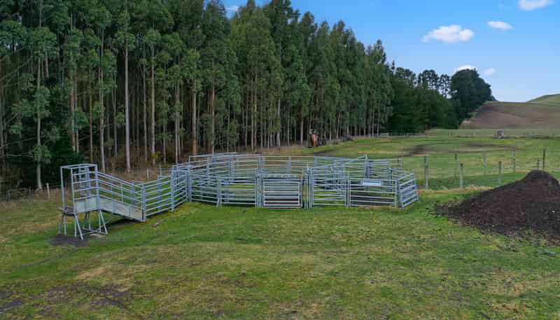 79 Patterson Road, Palmerston