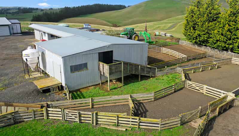 79 Patterson Road, Palmerston