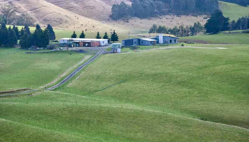 79 Patterson Road, Palmerston