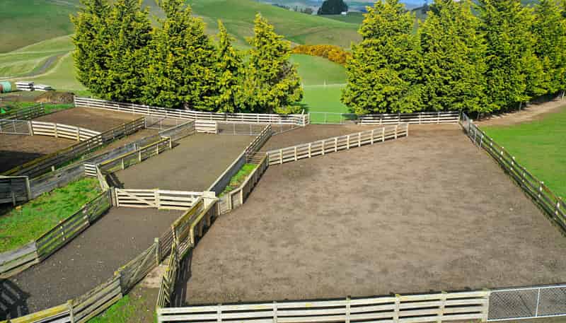 79 Patterson Road, Palmerston