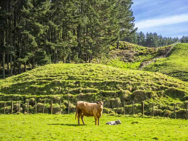 1522 State Highway 2, Wairoa