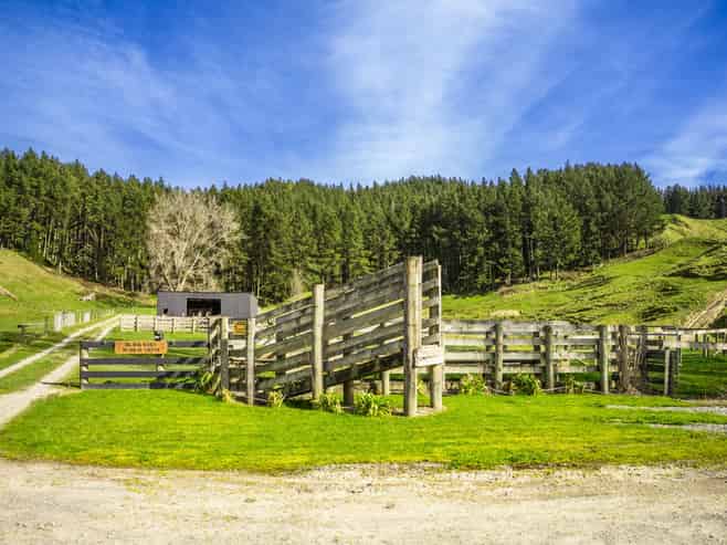 1522 State Highway 2, Wairoa