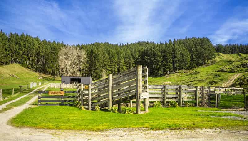 1522 State Highway 2, Wairoa