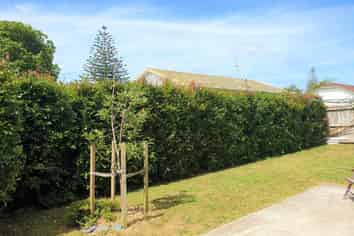 11 Koko Mews, Mangere Bridge