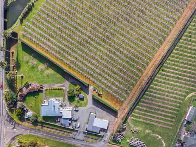 5 Watson Road, Karamu