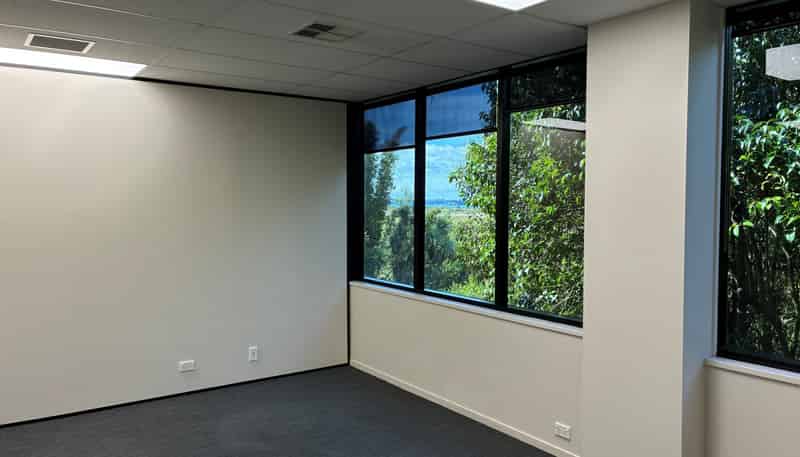 3/485A Rosebank Road, Avondale