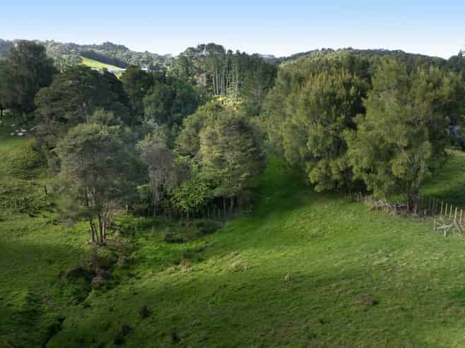 729 Ponga Road, Drury