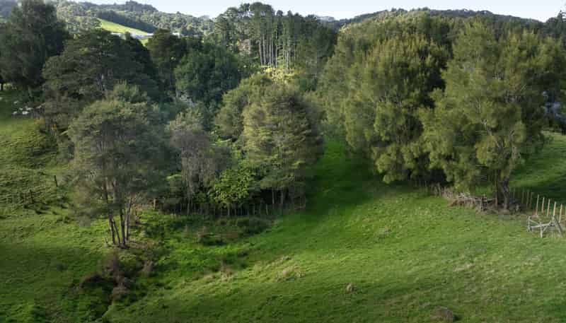 729 Ponga Road, Drury