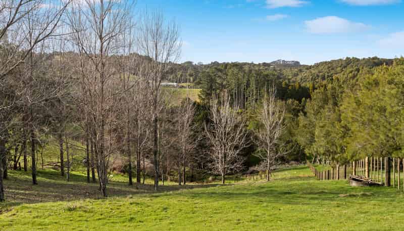 729 Ponga Road, Drury
