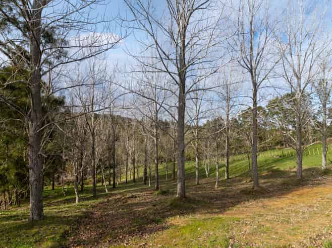 729 Ponga Road, Drury