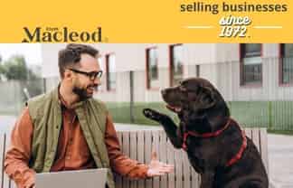 Reputable Auckland Canine Services - Business for Sale $126,311 Average SDE for Owner (CML 11615)