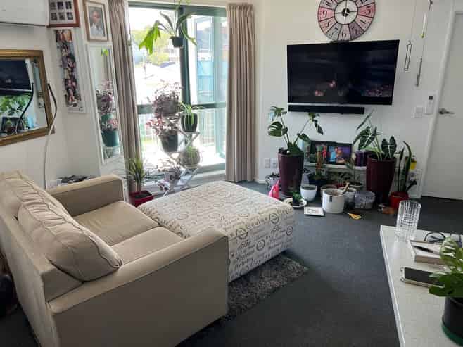 B18/13 Palm Grove, Berhampore