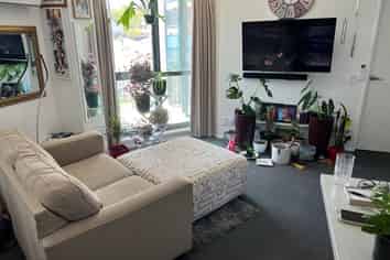 B18/13 Palm Grove, Berhampore