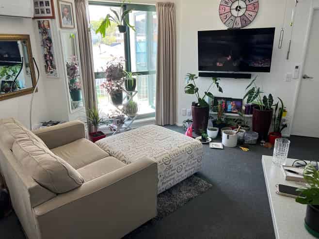 B18/13 Palm Grove, Berhampore