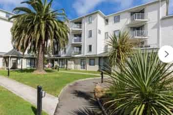 B18/13 Palm Grove, Berhampore