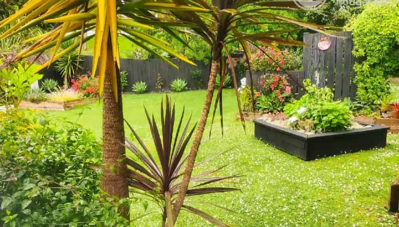 36 Sequoia Place, Sunnynook