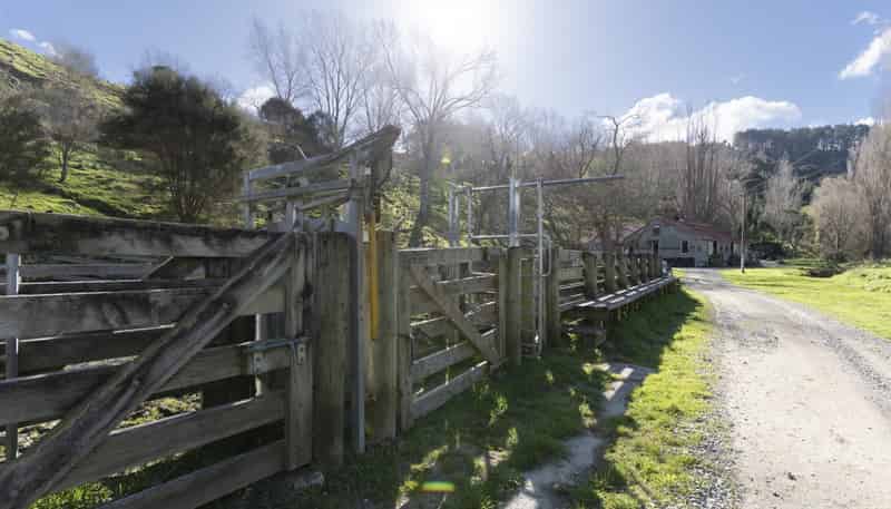 100 Adams Peak Road, Masterton