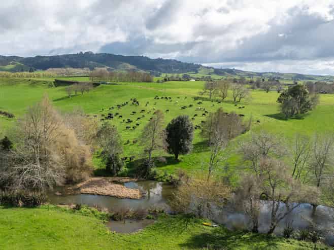 180 Cameron Road, Morrinsville