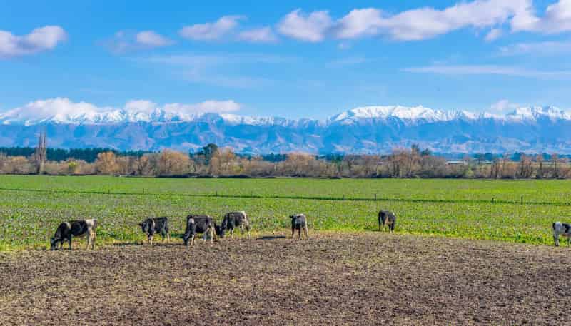 3962 State Highway 2, Takapau