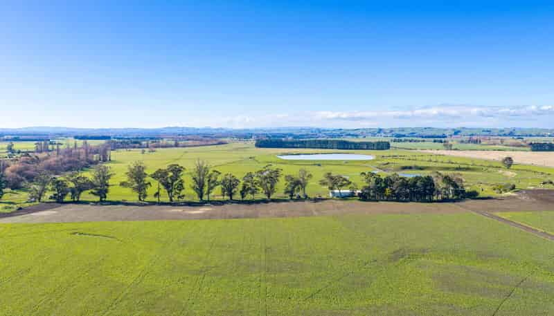 3962 State Highway 2, Takapau