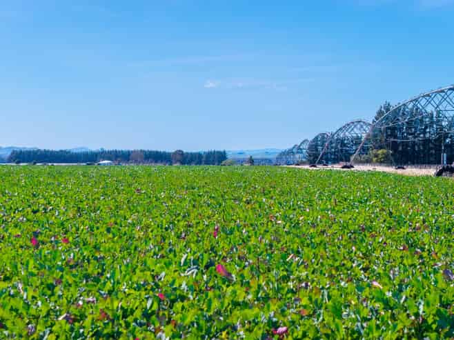 3962 State Highway 2, Takapau