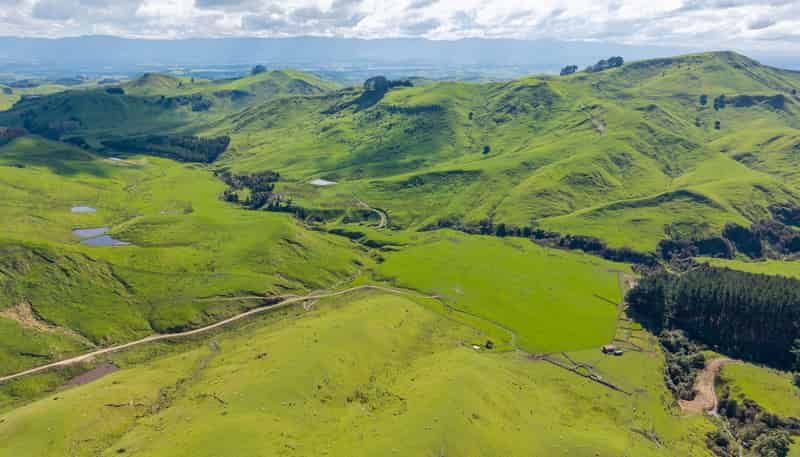558 Pukeatua Road, Dannevirke