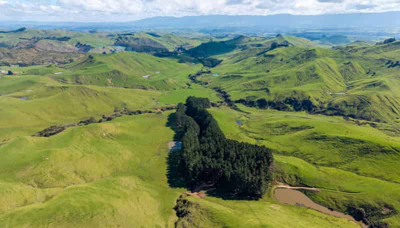 558 Pukeatua Road, Dannevirke