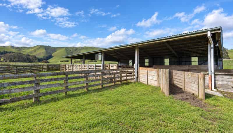 558 Pukeatua Road, Dannevirke