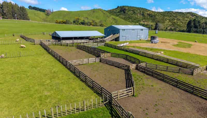 558 Pukeatua Road, Dannevirke