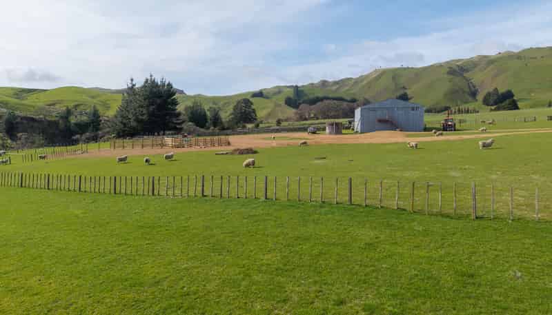 558 Pukeatua Road, Dannevirke