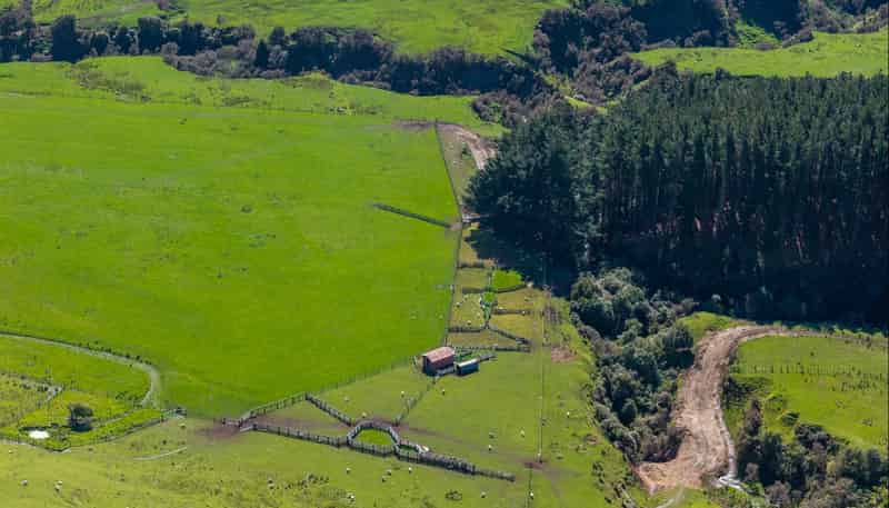 558 Pukeatua Road, Dannevirke