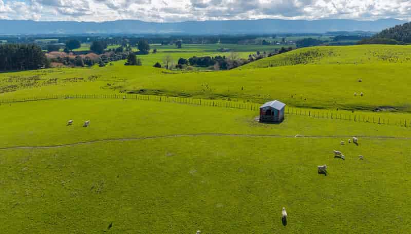 235 Otope Road, Dannevirke