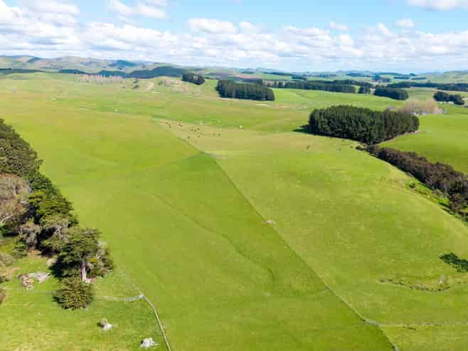235 Otope Road, Dannevirke