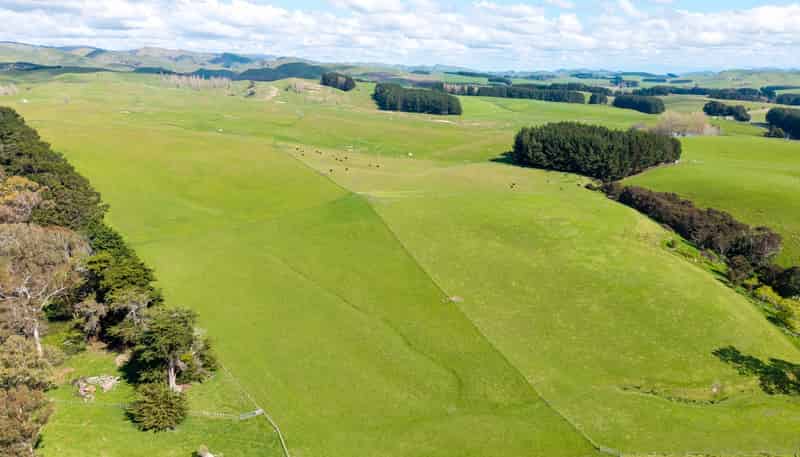 235 Otope Road, Dannevirke