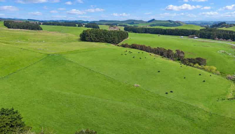 235 Otope Road, Dannevirke