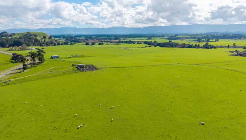 235 Otope Road, Dannevirke