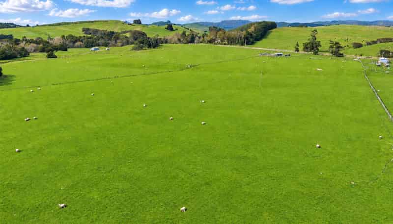 558 Pukeatua Road and 235 Otope Road, Dannevirke