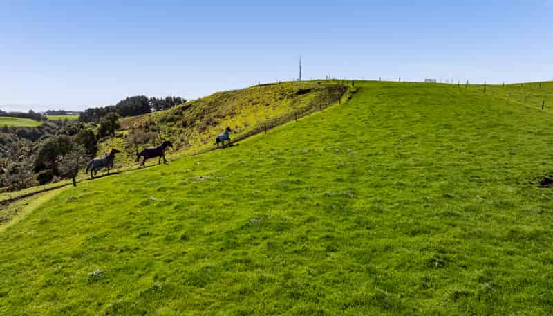 138A Otoia Road, Patea
