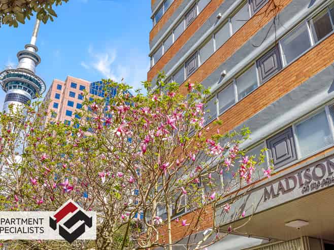37 Federal Street, Auckland Central